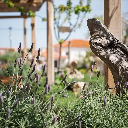 Fasolaki, 4* Skopelos