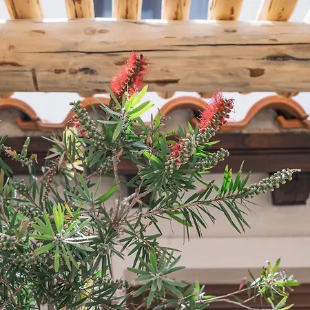 Aparthotel Fasolaki - Eco Residences *