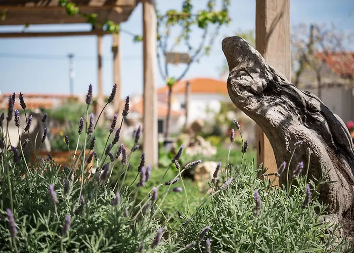 Fasolaki - Eco Residences 4* Skopelos