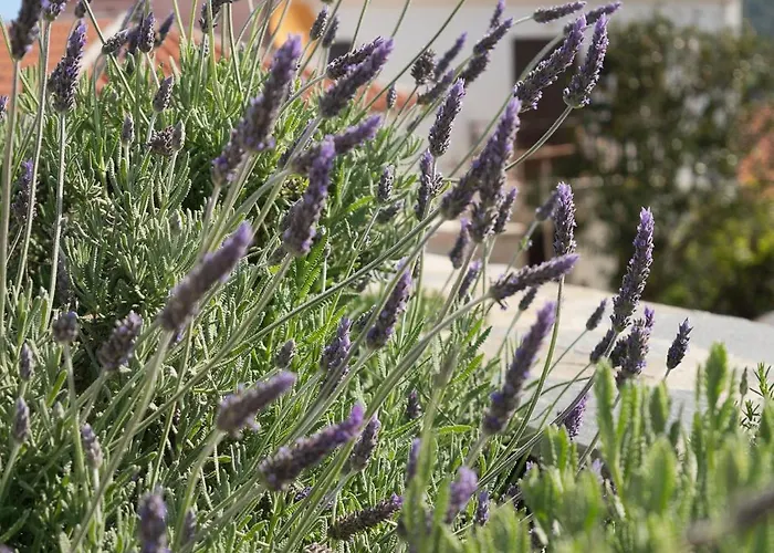 Aparthotel Fasolaki - Eco Residences