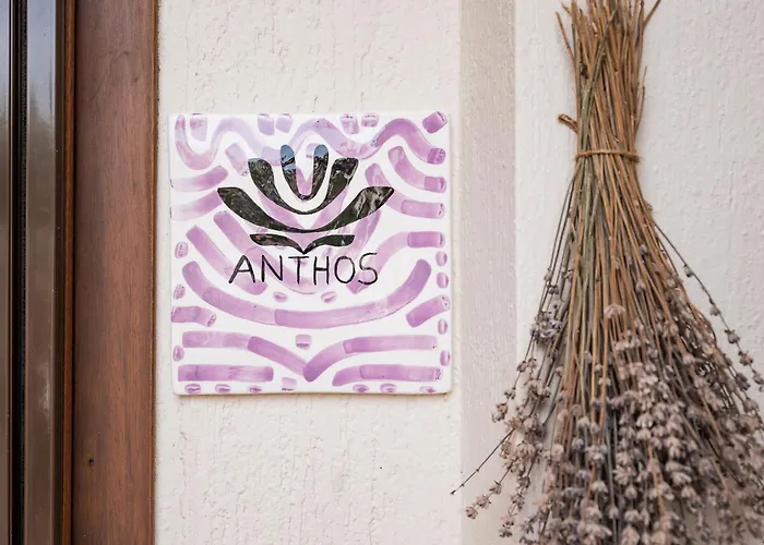 Fasolaki - Eco Residences Szkópelosz